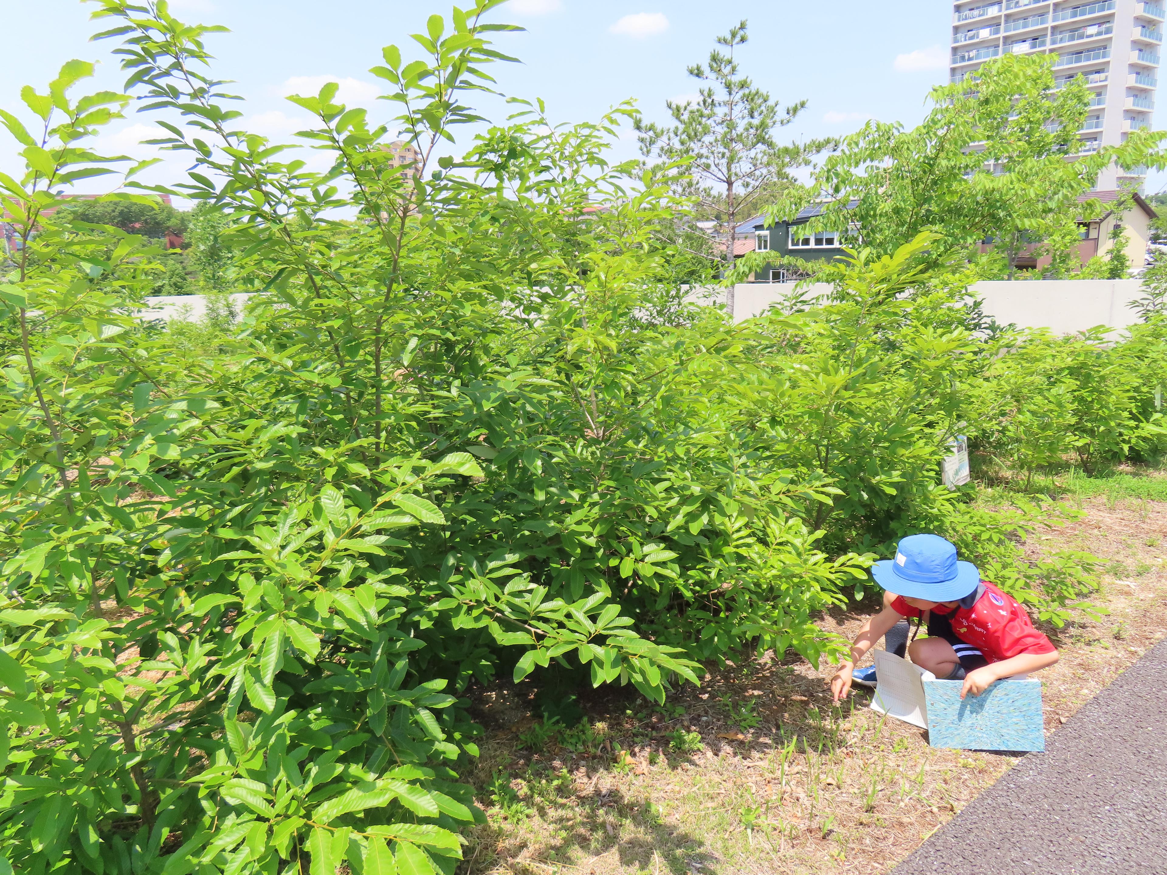 IMG_5980.JPG