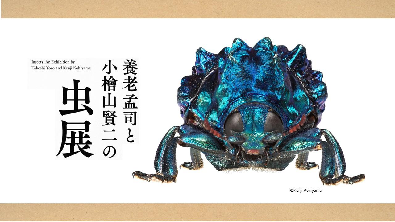 メインビジュアル-博物館外観