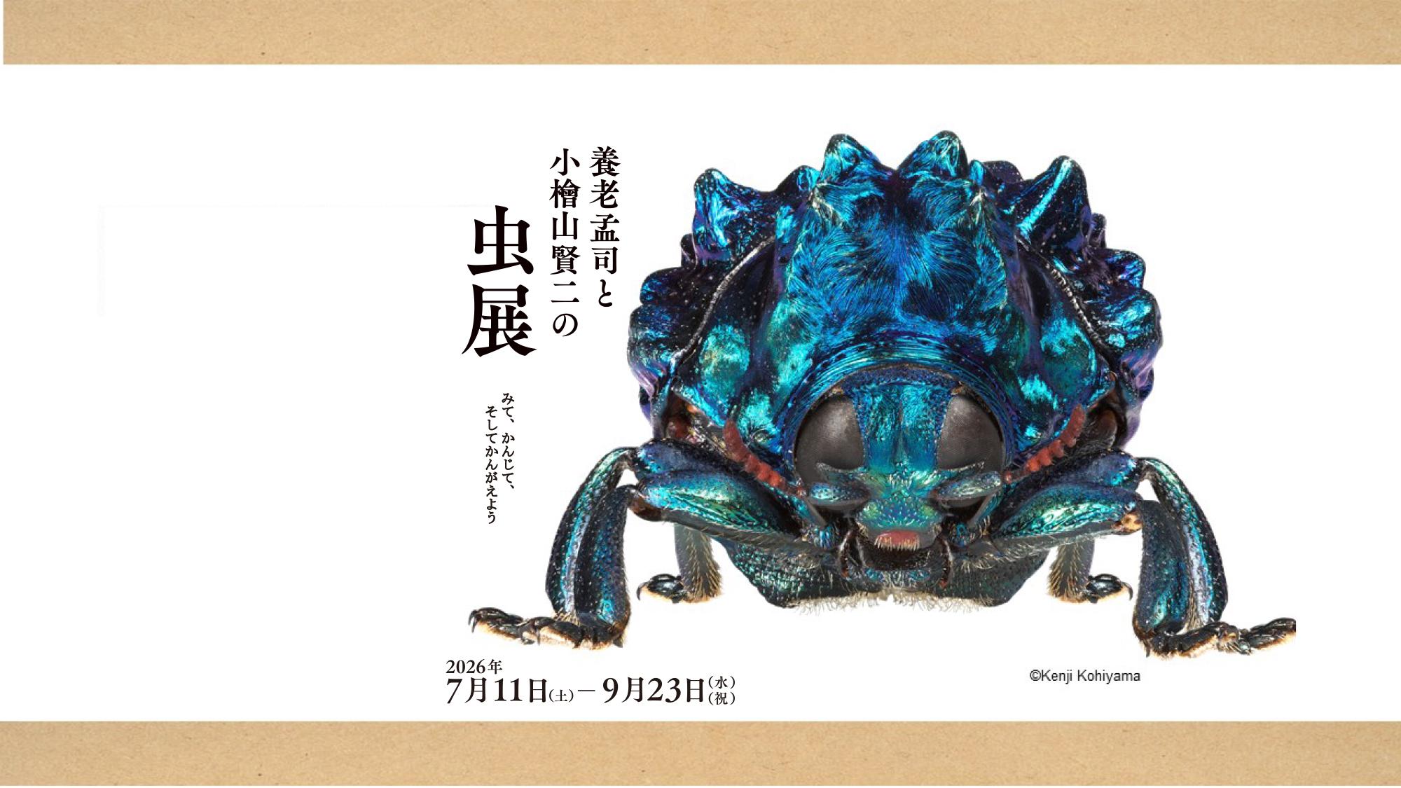 メインビジュアル-博物館外観