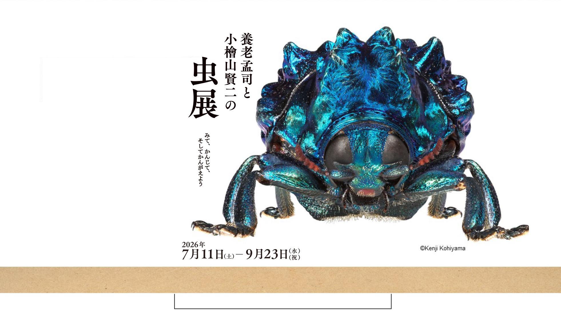 メインビジュアル-博物館外観