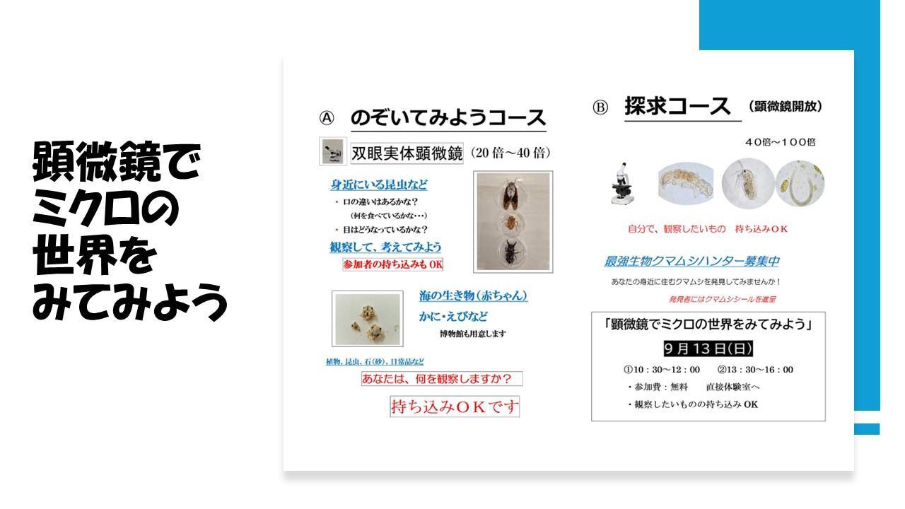 顕微鏡でミクロの世界をみてみよう